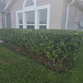 Bush Trimming by Jernie Lawn Care reviewed on June 20, 2022