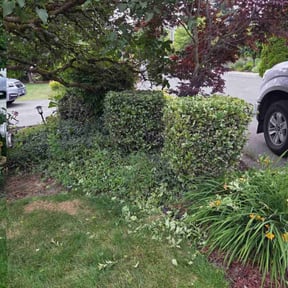 Bush Trimming by MCI Conveyor Solutions reviewed on August 3, 2024