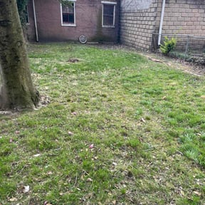 Cleanups by Curb Appeal Lawn and Landscape Services reviewed on June 4, 2025