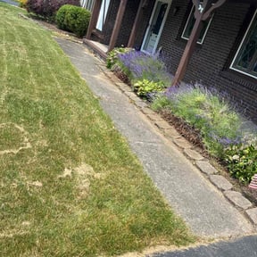 Bush Trimming by Untouchables Landscaping Services LLC reviewed on July 19, 2022