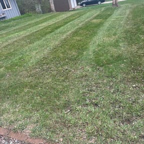 Leaf Removal by D&k Taylor lawn care reviewed on June 10, 2022
