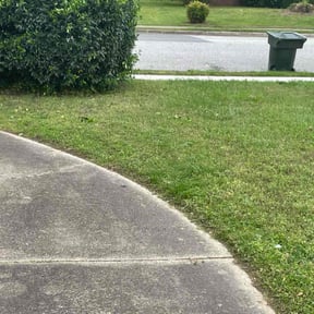 Bush Trimming by Field of Dreams Landscaping reviewed on March 6, 2025