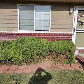 Bush Trimming by Chad Suenram reviewed on June 16, 2025