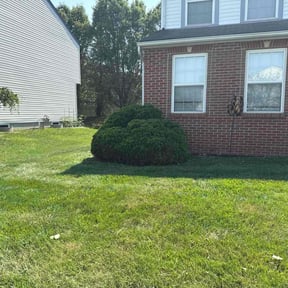 Bush Trimming by Twins lawn care reviewed on June 30, 2025
