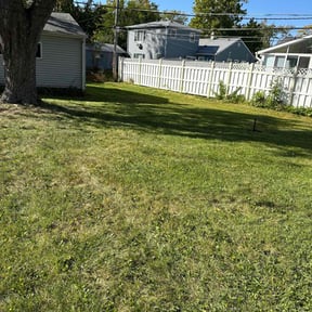 Leaf Removal by Lawn Bros reviewed on July 14, 2022