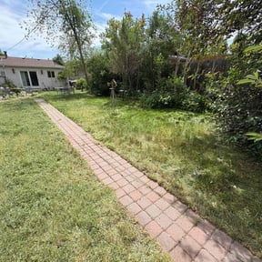 Cleanups by DmW Lawn care reviewed on June 15, 2022