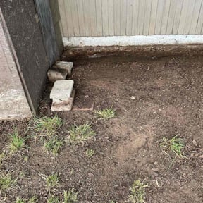 Cleanups by Starr Cleaning and Lawn Care LLC reviewed on June 29, 2025
