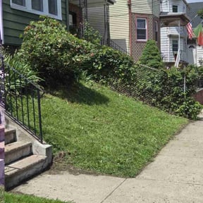 Bush Trimming by Bakers lawn service reviewed on October 5, 2021