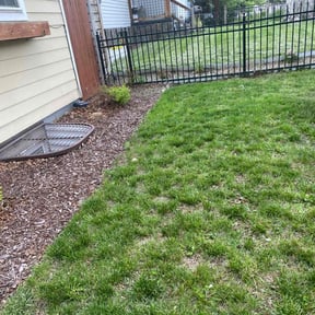 Leaf Removal by Landscaping V&amp;K. reviewed on August 6, 2024