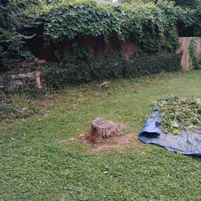 Cleanups by GrassFX Lawn Care reviewed on October 26, 2022