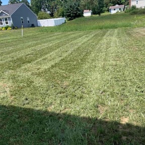 Cleanups by CNR Landscaping reviewed on August 24, 2024