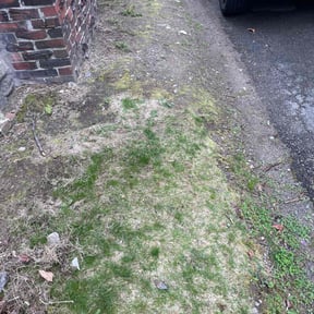 Cleanups by BBA BIG BROTHERS IN ACTION LLC reviewed on June 11, 2022