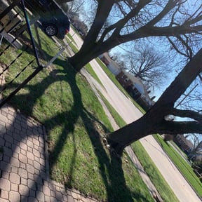 Cleanups by Cut n up lawn care services reviewed on April 24, 2022