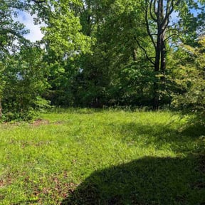 Cleanups by Flat Rock Landscaping and More reviewed on August 6, 2024