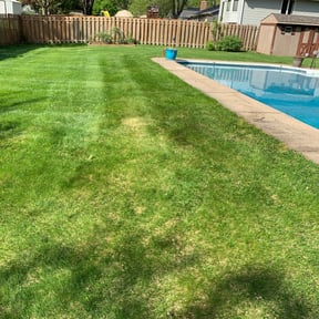 Cleanups by Ladybugs Lawn & Home reviewed on June 21, 2022