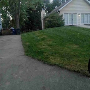 Leaf Removal by Chai reviewed on August 2, 2022