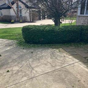Bush Trimming by FRAMPTON'S LAWN SERVICE reviewed on May 19, 2022