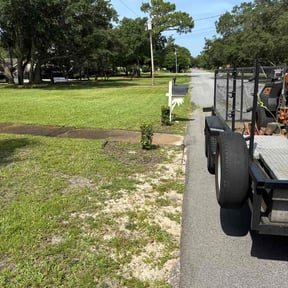 Bush Trimming by DMD LAWN SVC reviewed on June 20, 2022