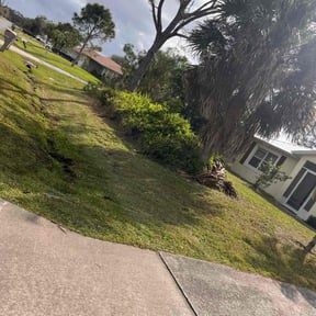 Bush Trimming by J Jr’s Lawn Maintenance reviewed on February 25, 2025