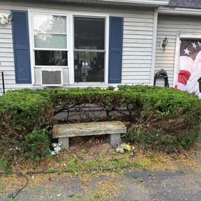 Bush Trimming by PNJ Landscaping reviewed on May 10, 2021