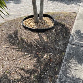 Weeding by Heavenly Mejia lawn service reviewed on October 19, 2022
