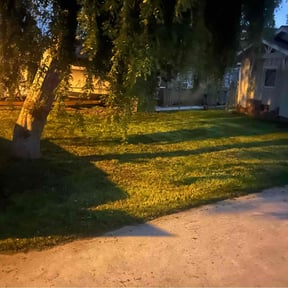 Cleanups by TruGreen LawnCare reviewed on April 10, 2025