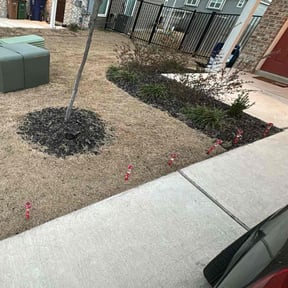 Flower Bed Weeding by Yards_plus reviewed on July 10, 2022
