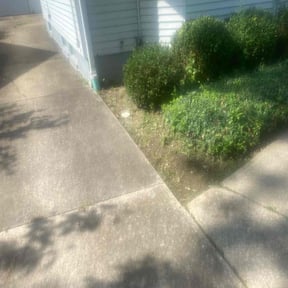 Flower Bed Weeding by Mike's lawn care reviewed on June 20, 2022