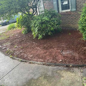 Leaf Removal by LSLTDallas/FortWorthTruGreen reviewed on August 17, 2024