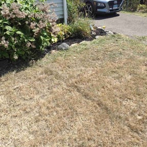 Landscaping by Texas Pride Lawncare reviewed on July 15, 2022
