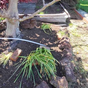 Flower Bed Weeding by Lawn Care reviewed on July 1, 2022