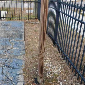 Cleanups by Green landscaping LLc reviewed on June 1, 2022