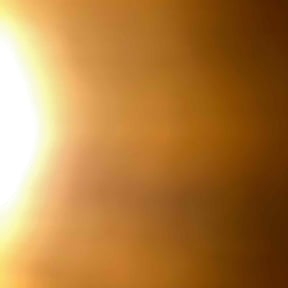 Bush Trimming by TruGreen LawnCare reviewed on September 10, 2024