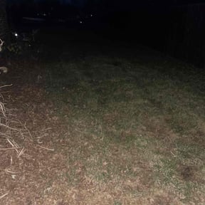 Leaf Removal by Clean Cuts Lawn Services reviewed on March 19, 2022