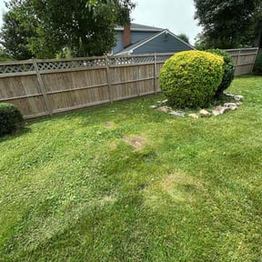 Bush Trimming by Greg's gardens reviewed on May 27, 2025