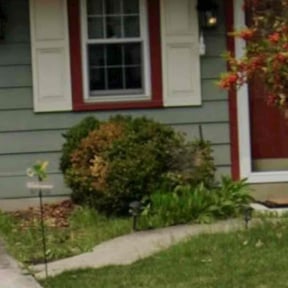 Bush Trimming by Lawn care reviewed on May 2, 2022
