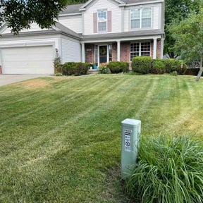 Bush Trimming by Aaron's Landscaping and Tree services reviewed on April 30, 2022