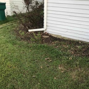 Leaf Removal by Edis Marin reviewed on July 19, 2022