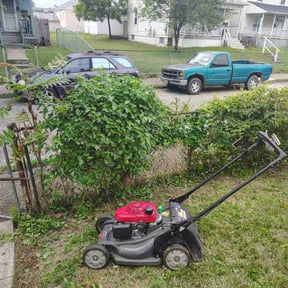 Bush Trimming by Hoffman Welding reviewed on July 8, 2022