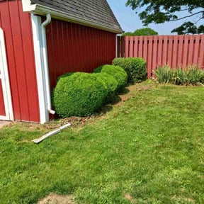 Bush Trimming by Montour Xpress reviewed on November 18, 2024
