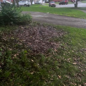Cleanups by Emanuel’s Lawncare reviewed on May 16, 2022