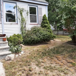 Bush Trimming by WATSON LANDSCAPING reviewed on April 29, 2022