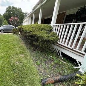 Bush Trimming by Random WareHouses LLC reviewed on October 12, 2022