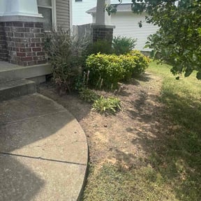 Flower Bed Weeding by LSLTDallas/FortWorthTruGreen reviewed on September 6, 2024