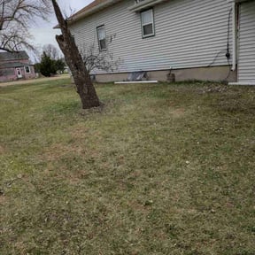 Leaf Removal by Castrolawns reviewed on June 20, 2022