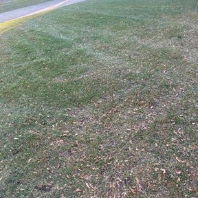 Leaf Removal by Just us landscaping LLC reviewed on July 8, 2022