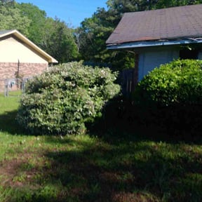 Bush Trimming by Vanlandingham Lawn Care & Services reviewed on May 2, 2022
