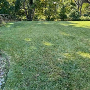 Leaf Removal by Wallace The Lawn Guy reviewed on July 29, 2022