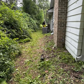 Cleanups by Lawn care Debris and Tree reviewed on August 10, 2024