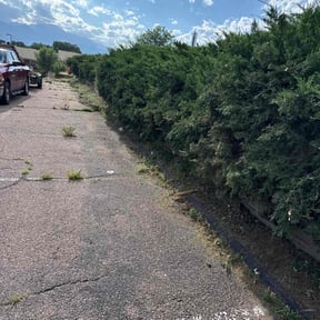 Cleanups by April Showers Landscape Maintenance reviewed on December 21, 2024